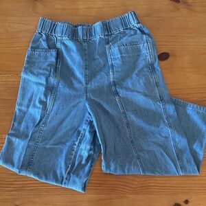 Madewell, Light Wash Denim, Pull-On, Wide Leg Pant, Cropped, Women's, Small